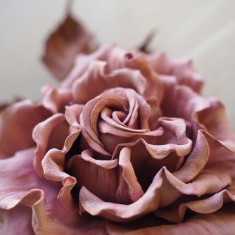 blush pink leather rose corsage detail