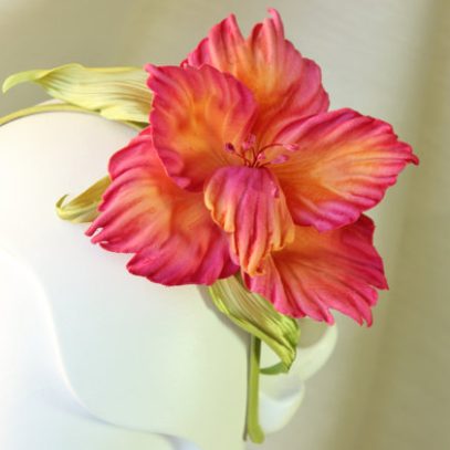 velvet gladiolus flower 2