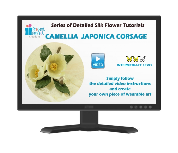 camellia japonica comp screen JPEG