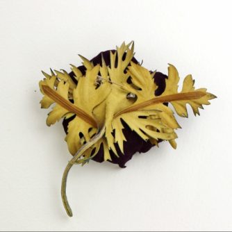 purple  leather anemone corsage back (500x500)