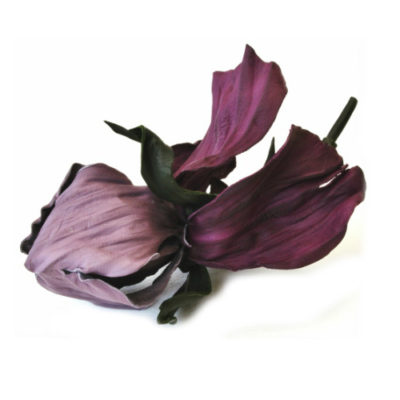 purple leather iris corsage