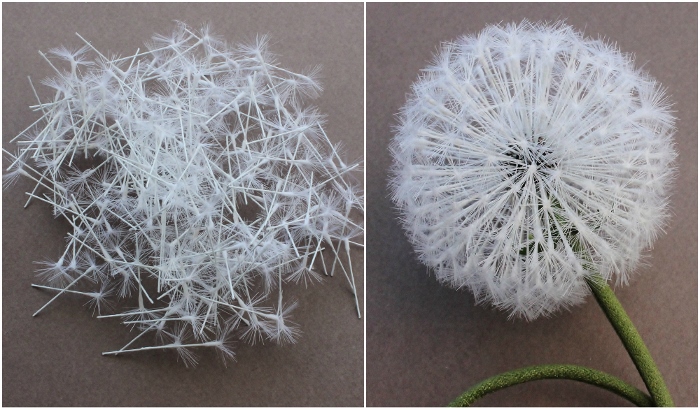 silk dandelion clock tutorial