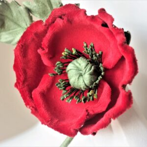 red velvet poppy closeup