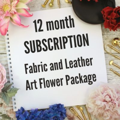 subscription'17