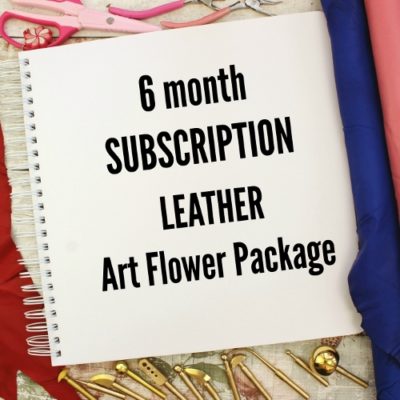 6 month Subscription LEATHER Package