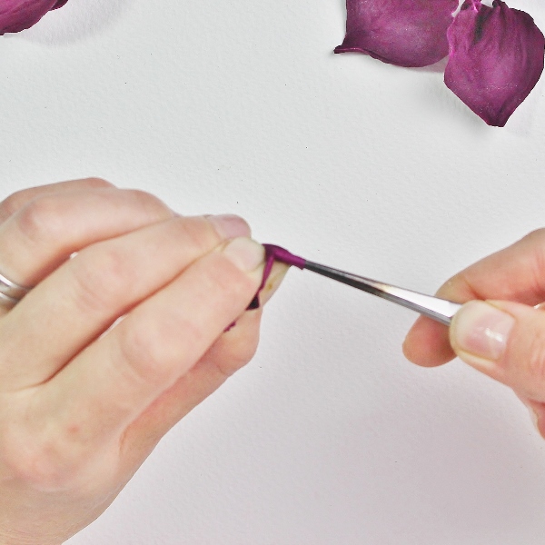 flower shaping tweezers