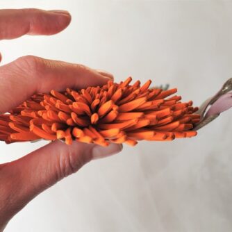 orange leather chrysanthemum profile