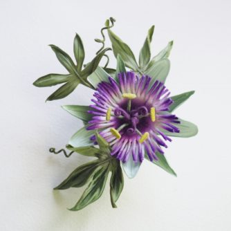 silk passion flower kit