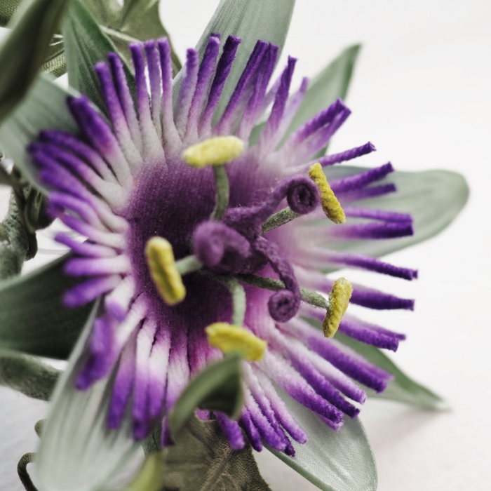 silk passion flower