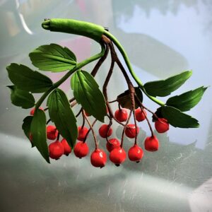 leather rowanberries brooch