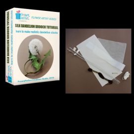 dandelion tutorial+kit