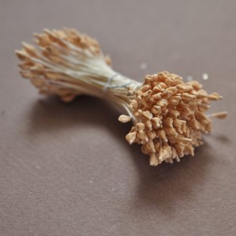 beige pointed stamens