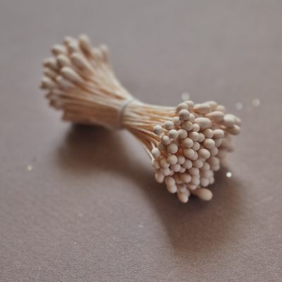 beige rounded stamens