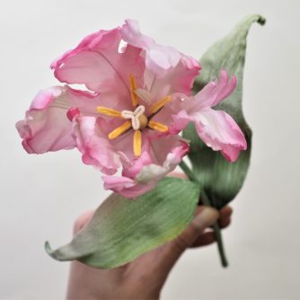 Silk Parrot tulip with leaves 800
