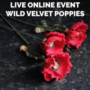 WILD VELVET POPPIES live online event