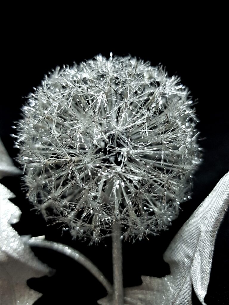 silver dandelion clock