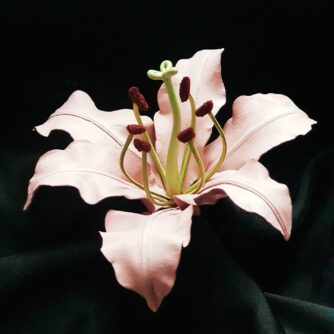 pink leather lily phone