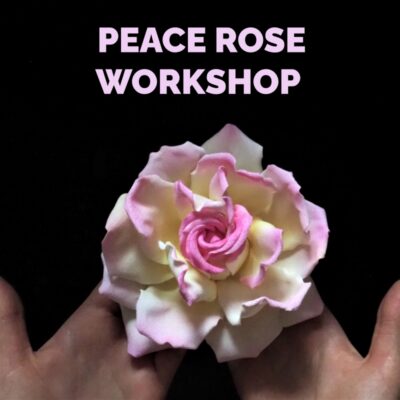 DIY Material Kit for making a Fabric Peace Rose