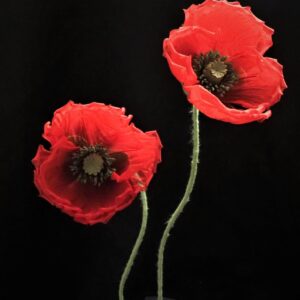 red organza poppies