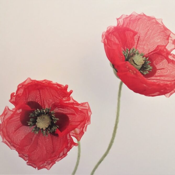 Veteran Red Organza Poppies On Stems, Set Of Two - Presentperfect 