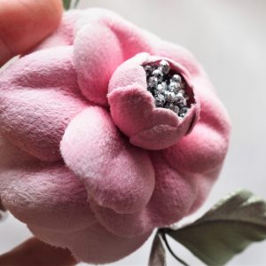 pink velvet camellia closeup