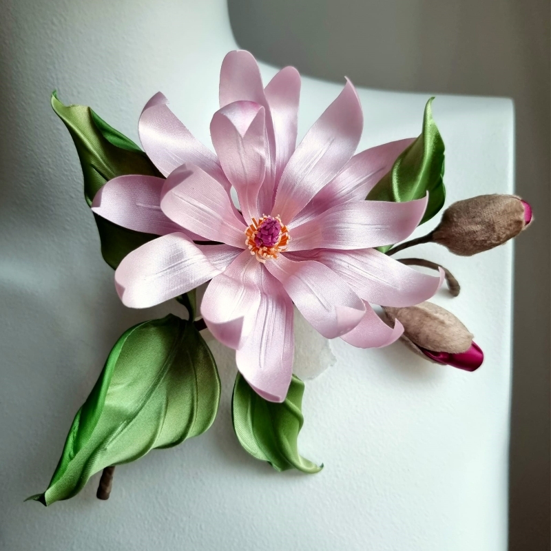 magnolia stellata 