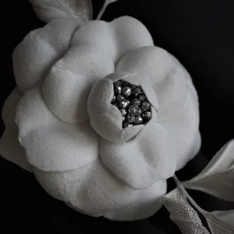 white velvet camellia 3