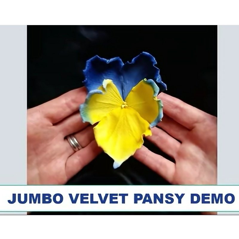 jumbo velvet pansy demo cover