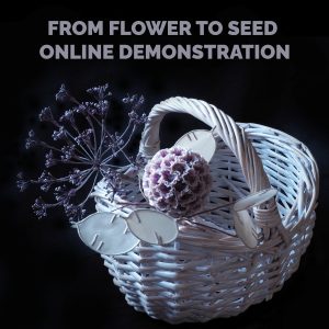 from flower to seed live onlien demosntration BASKET COVER
