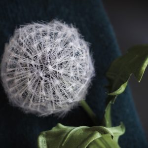 Silk Dandelion Clock stick pin