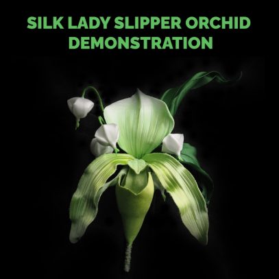 lady slipper orchid DEMONSTRATION