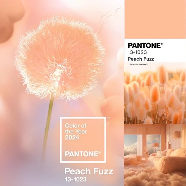 Peach Fizz colour by Pantone