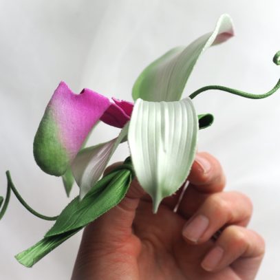 sik lady slipper orchid side 800