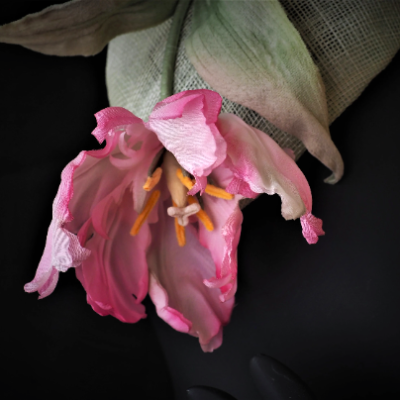 Spring Silk Parrot Tulip Beret Hat