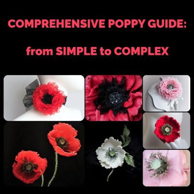 MAY’24 – Online Event Comprehensive Poppy Guide