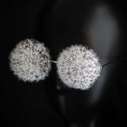 dandelion glasses 800