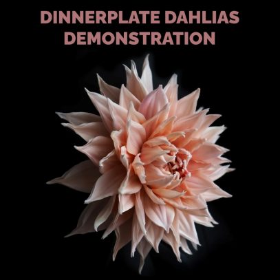 dinnerplate dahlias demo cover 900