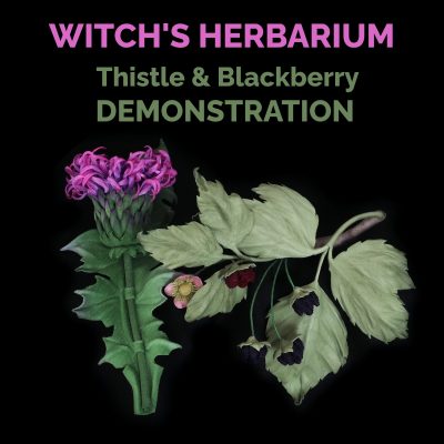 presale – 28 OCTOBER’24 – Online Event Witch’s Herbarium