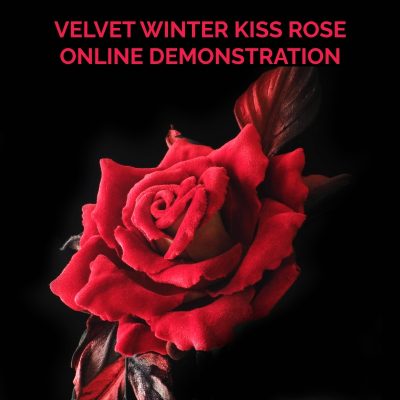 November’24 – Online Event on Winter Kiss Velvet Rose