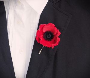 miniature red velvet poppy pin