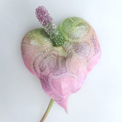 pink lace anthurium closeup 900