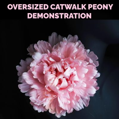 oversized catwalk peony demonstration cover