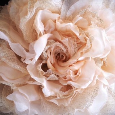 presale 30 JUNE 2025 – Online event on Oversized Razzle Dazzle Rose