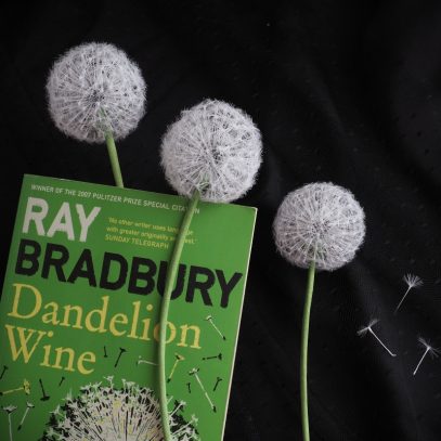 realistic silk dandelion clocks on a stem 2 800