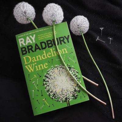 realistic silk dandelion clocks on a stem