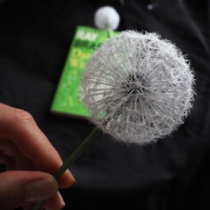 Realistic Silk Dandelion Clock on a stem