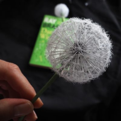Realistic Silk Dandelion Clock on a stem