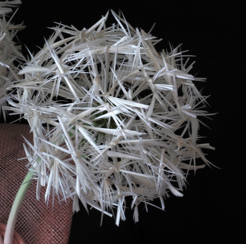feather dandelion clock headpiece detail 800