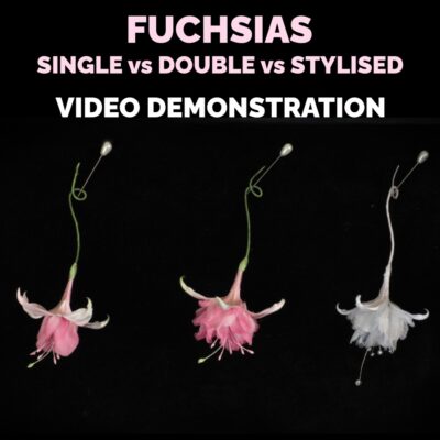 MAY 2026 – Online Video Demonstation on Handmade Fuschias: single vs double vs stylised